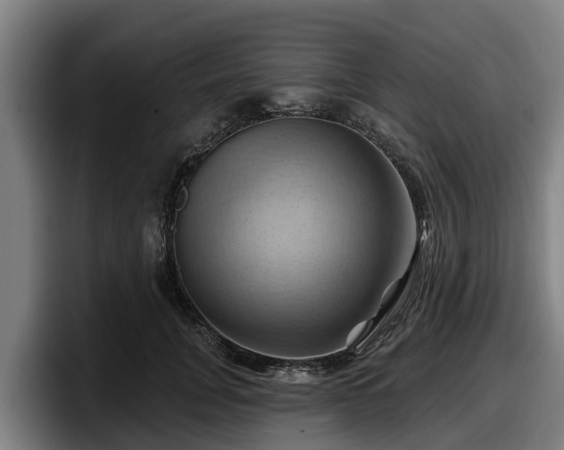 X0000097830751200803201457