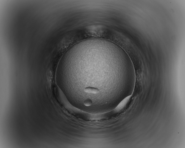 X0000097830752200803201457