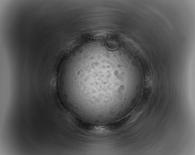X0000097830753200803201457