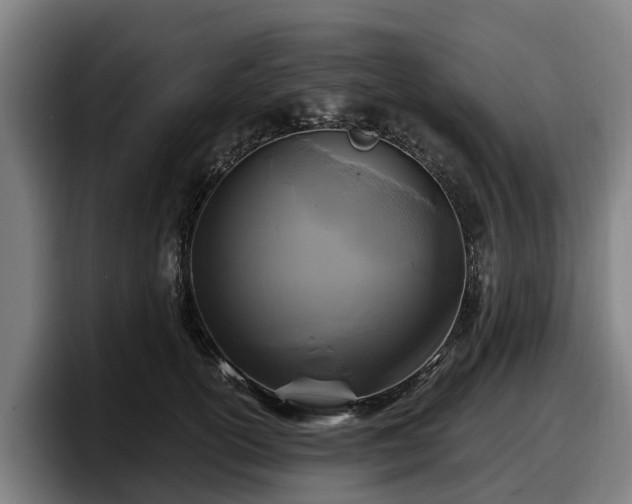 X0000097830754200803201457