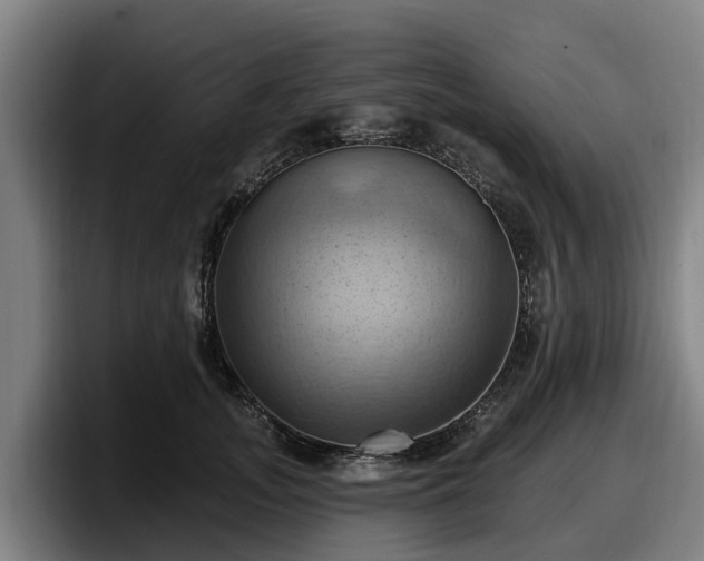 X0000097830755200803201457