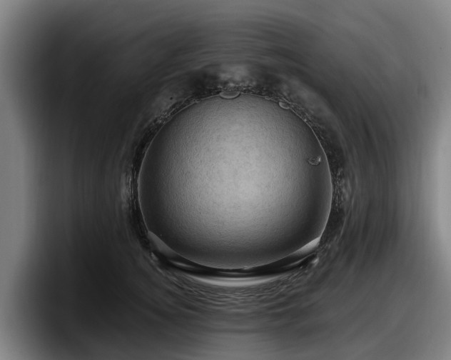 X0000097830756200803201457