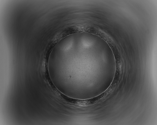 X0000097830757200803201457