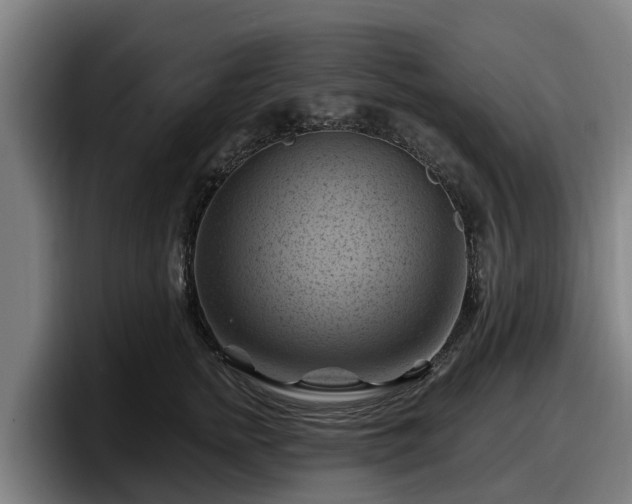 X0000097830758200803201457