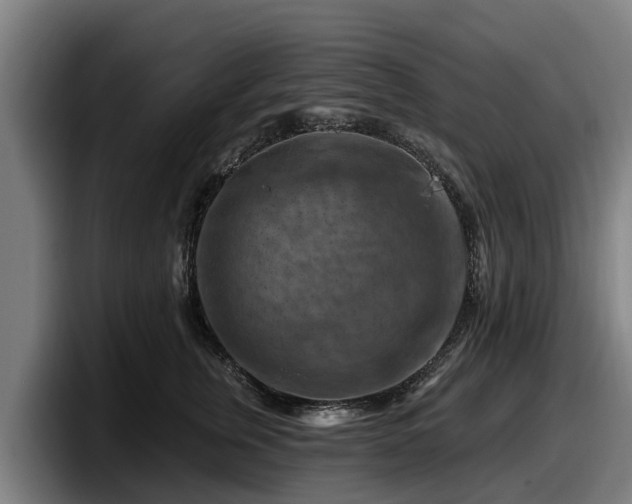 X0000097830759200803201457