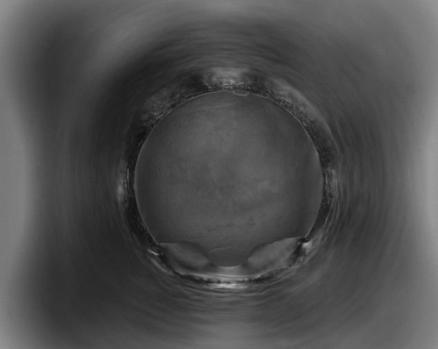 X0000097830760200803201458