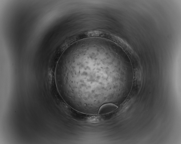 X0000097830761200803201458
