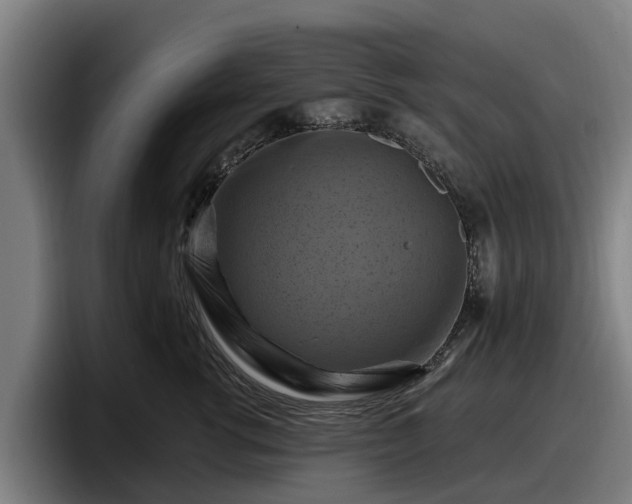 X0000097830762200803201458
