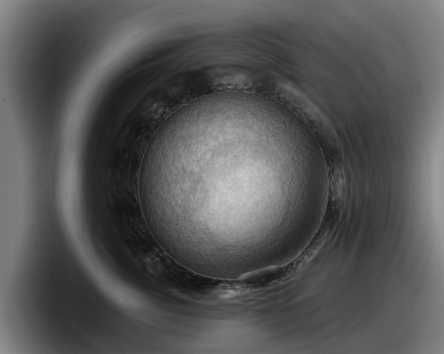 X0000097830764200803201458