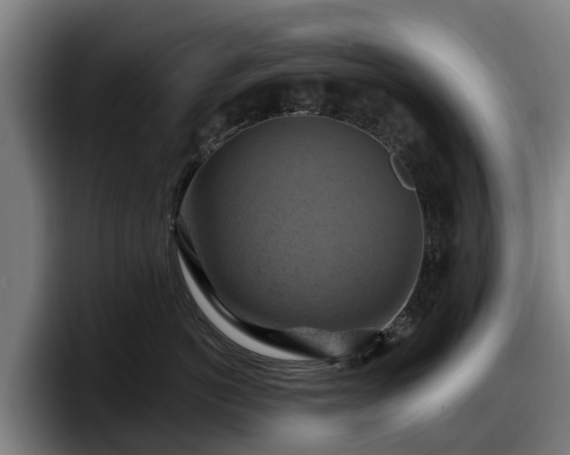 X0000097830766200803201458