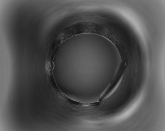 X0000097830767200803201458