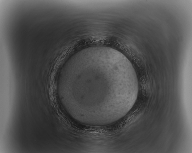 X0000097830769200803201457