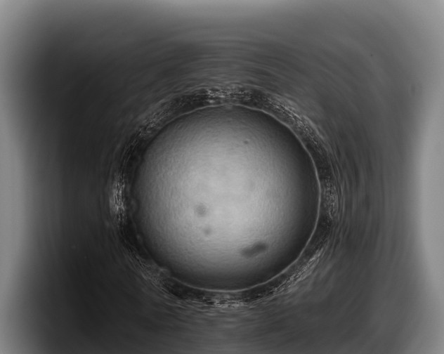 X0000097830770200803201457