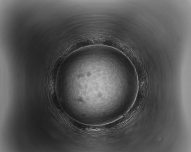 X0000097830772200803201457