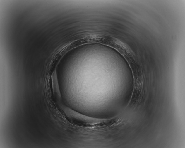 X0000097830773200803201457