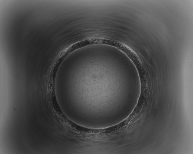 X0000097830775200803201457