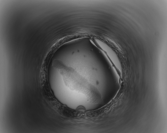 X0000097830776200803201457