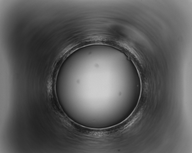 X0000097830778200803201457