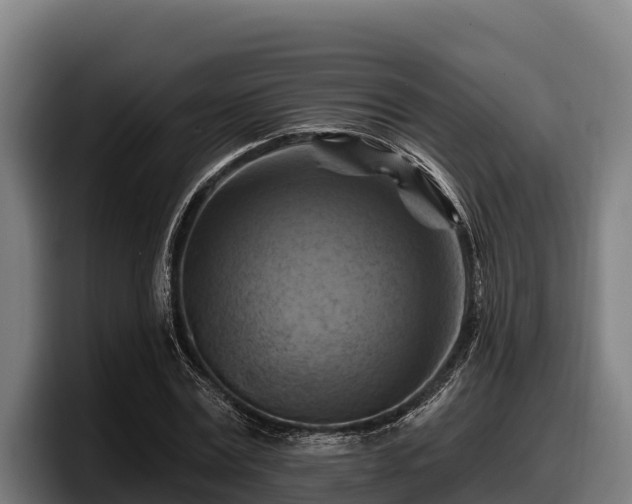 X0000097830779200803201457