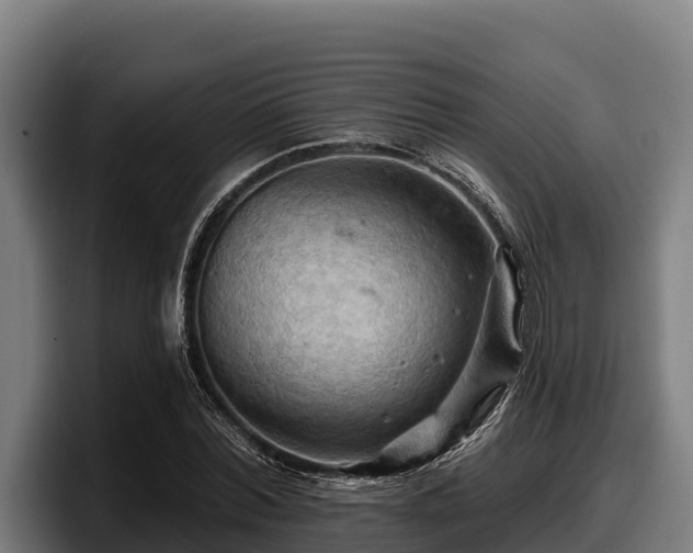 X0000097830780200803201457