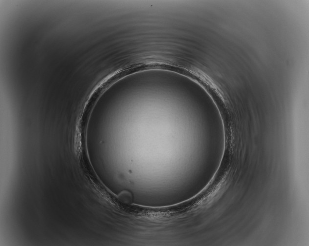 X0000097830782200803201457