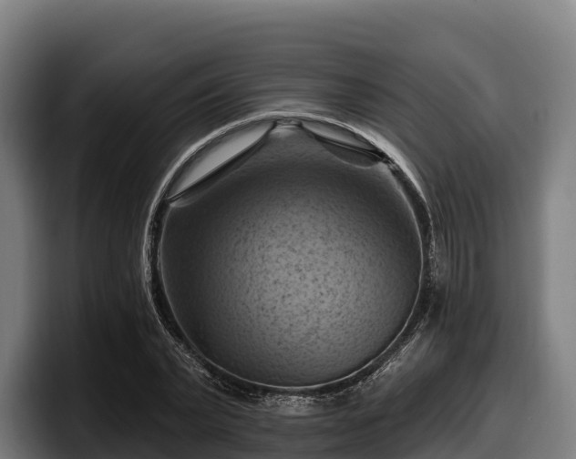 X0000097830783200803201457