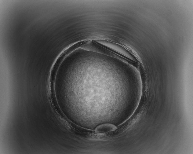 X0000097830784200803201457