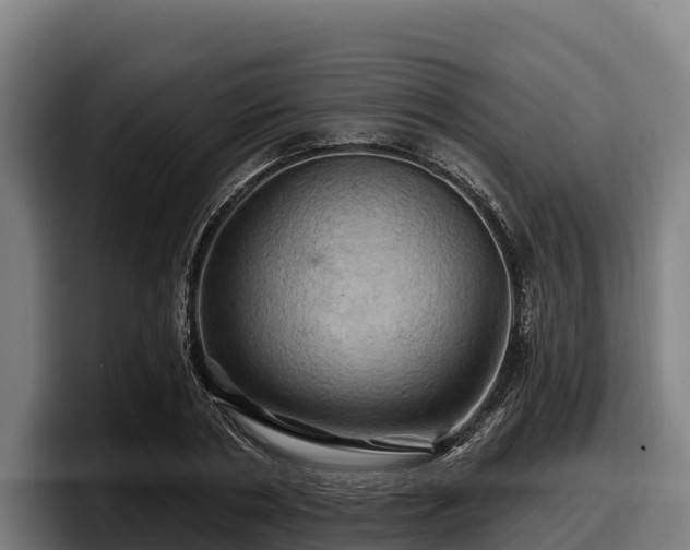 X0000097830786200803201457