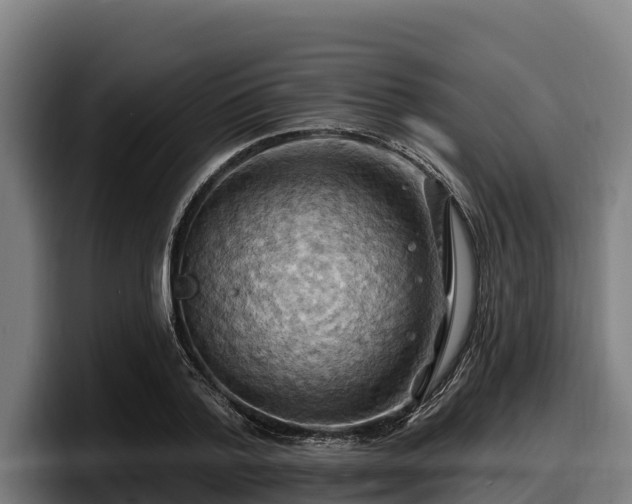 X0000097830788200803201457