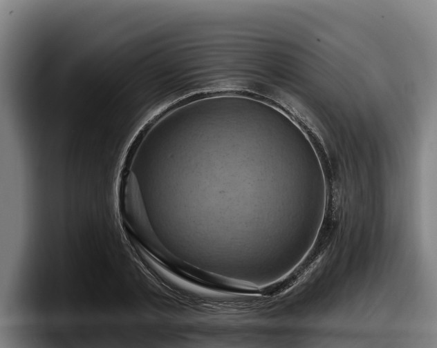 X0000097830789200803201457