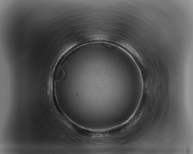 X0000097830790200803201457