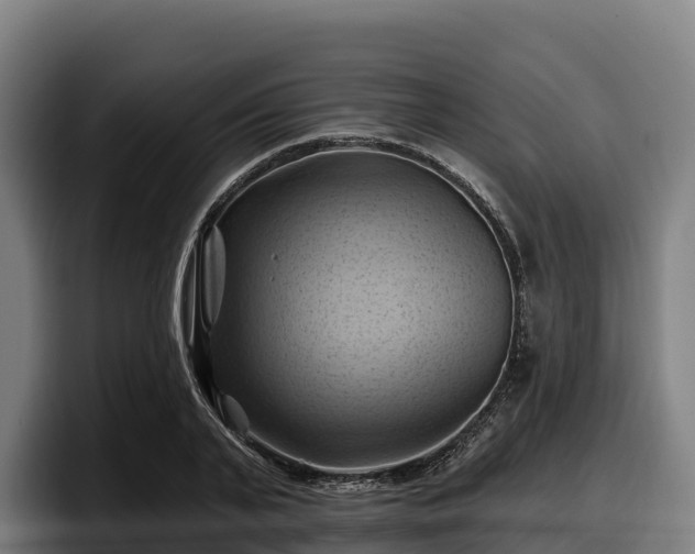 X0000097830791200803201457