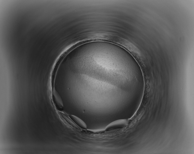 X0000097830792200803201457
