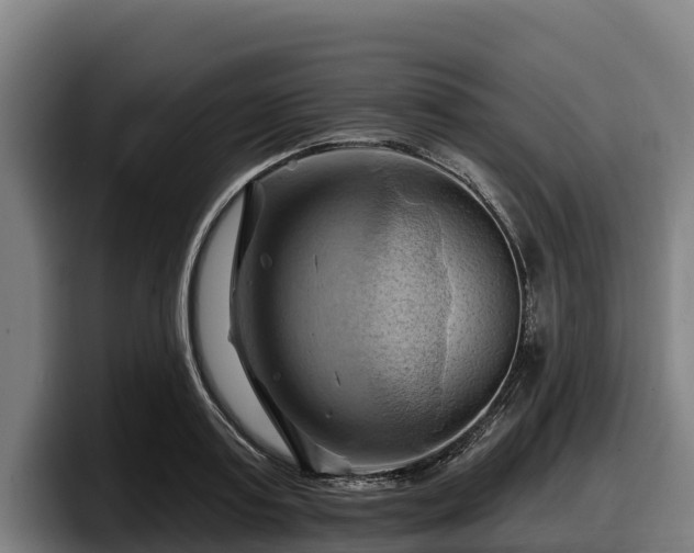 X0000097830795200803201457