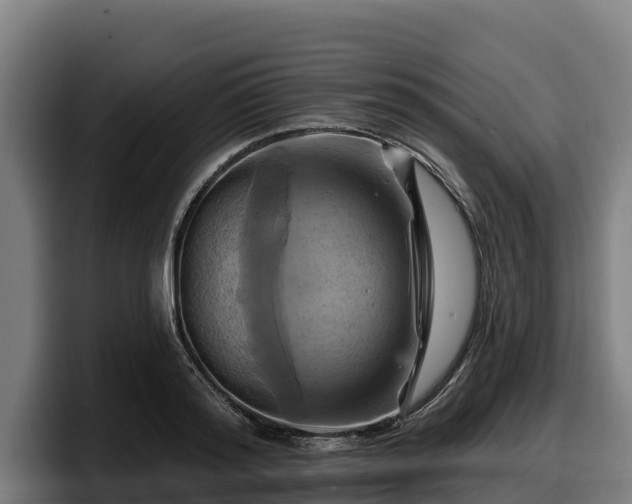 X0000097830796200803201457