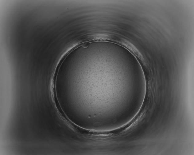 X0000097830798200803201457
