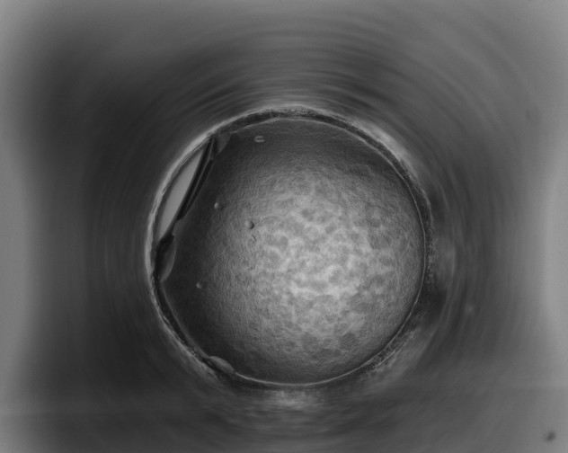 X0000097830799200803201457
