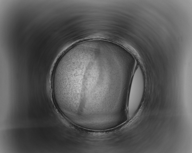 X0000097830800200803201457