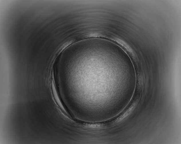 X0000097830801200803201457