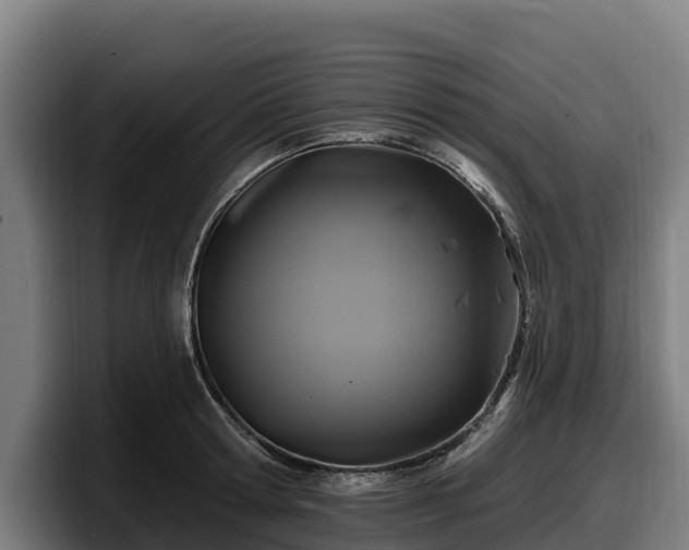 X0000097830802200803201457