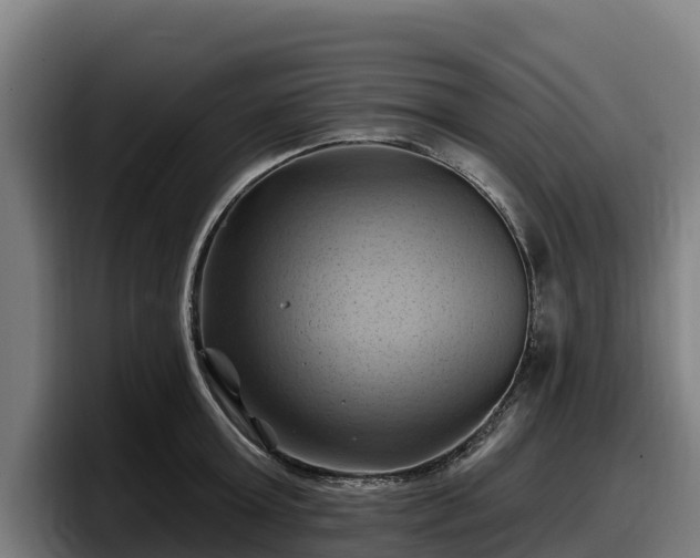 X0000097830803200803201457