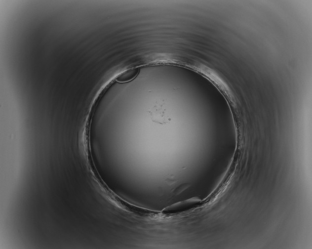 X0000097830806200803201457