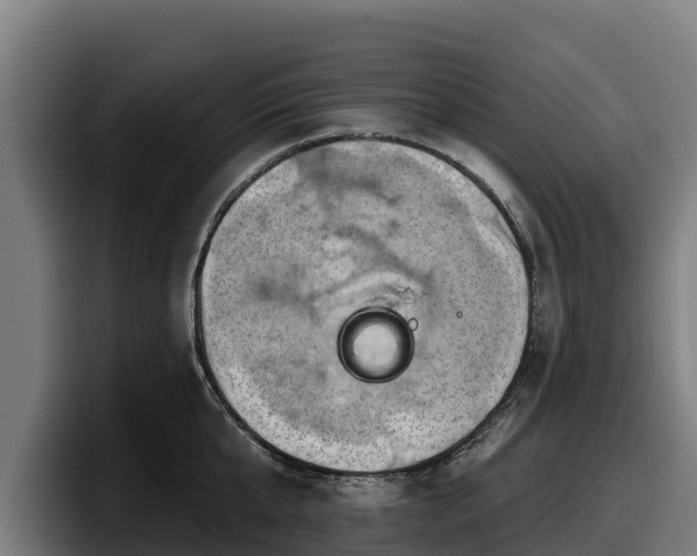 X0000097830807200803201456