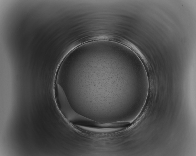 X0000097830810200803201456
