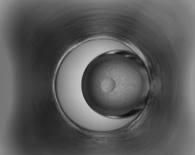 X0000097830813200803201456
