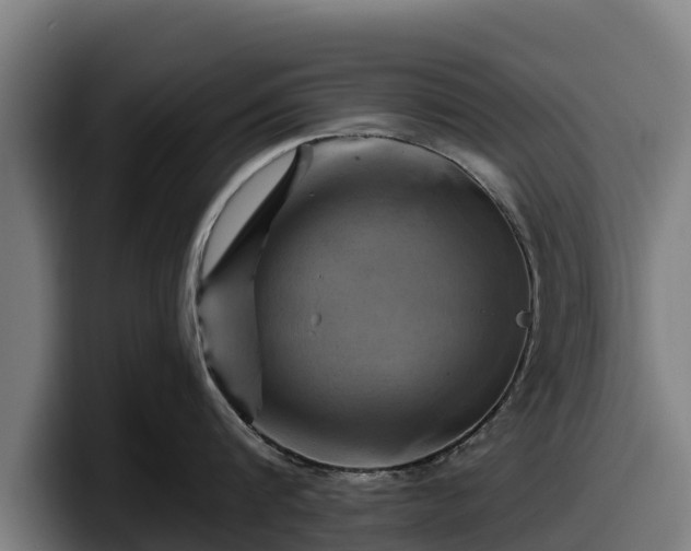 X0000097830816200803201456