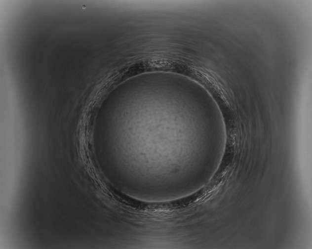 X0000097830817200803201456