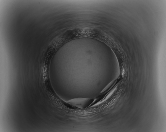 X0000097830818200803201456