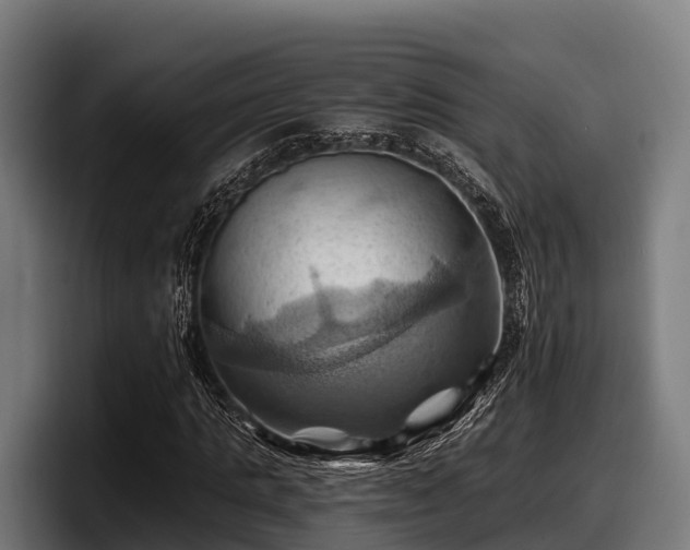 X0000097830821200803201456