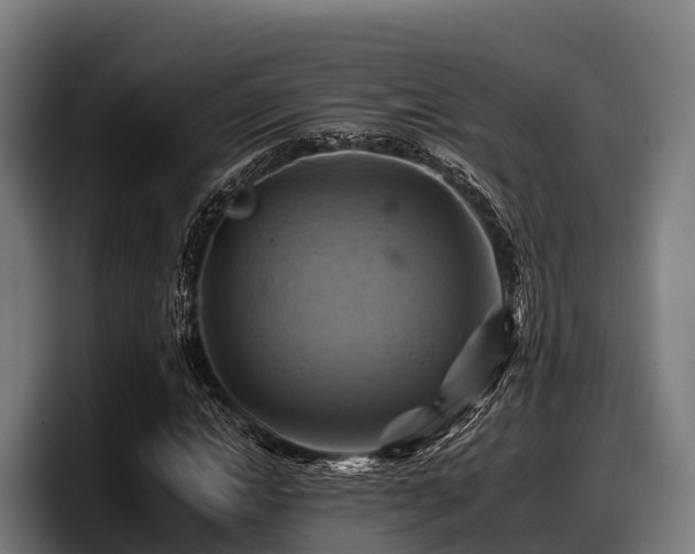 X0000097830822200803201456
